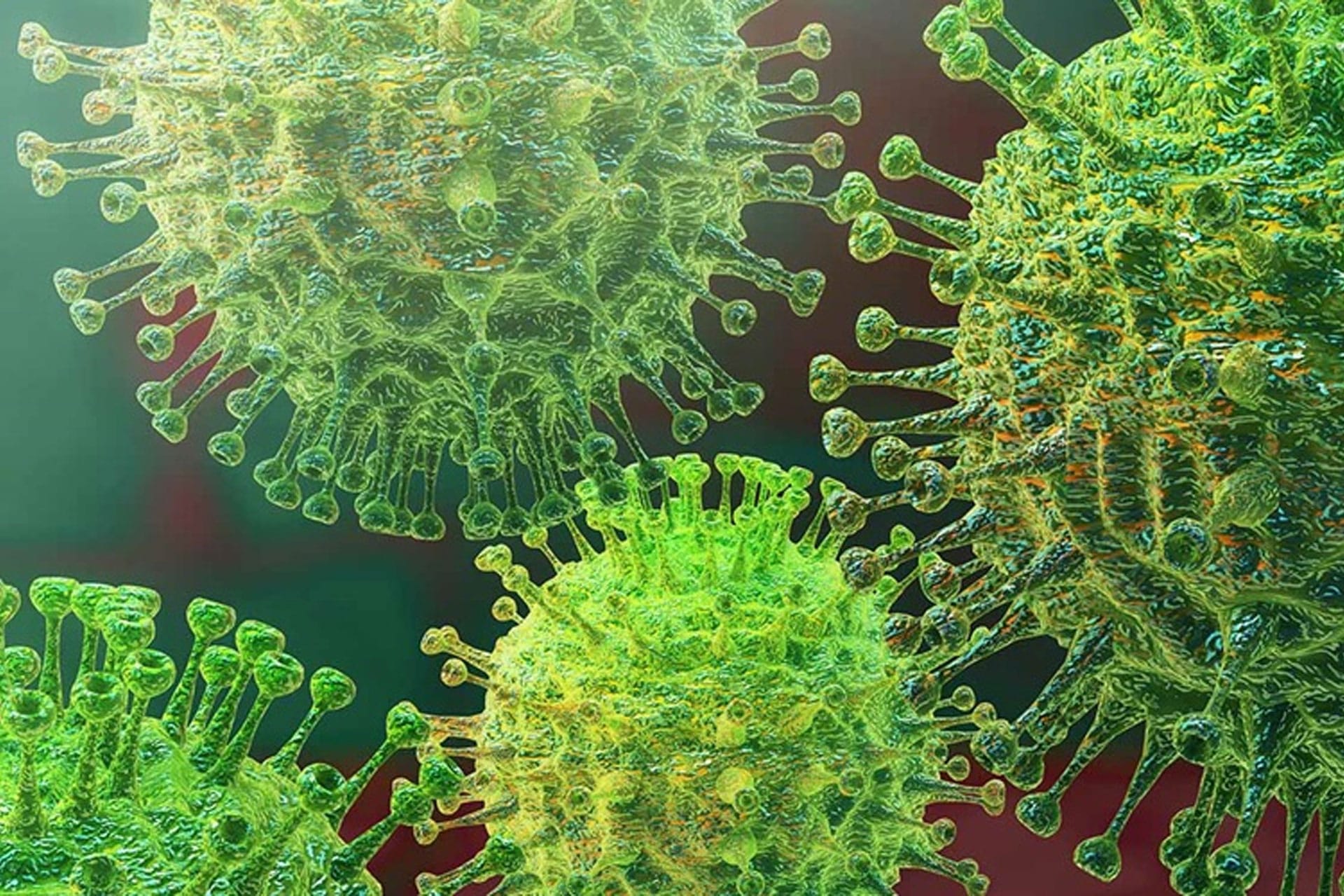 COVID bacteria close up