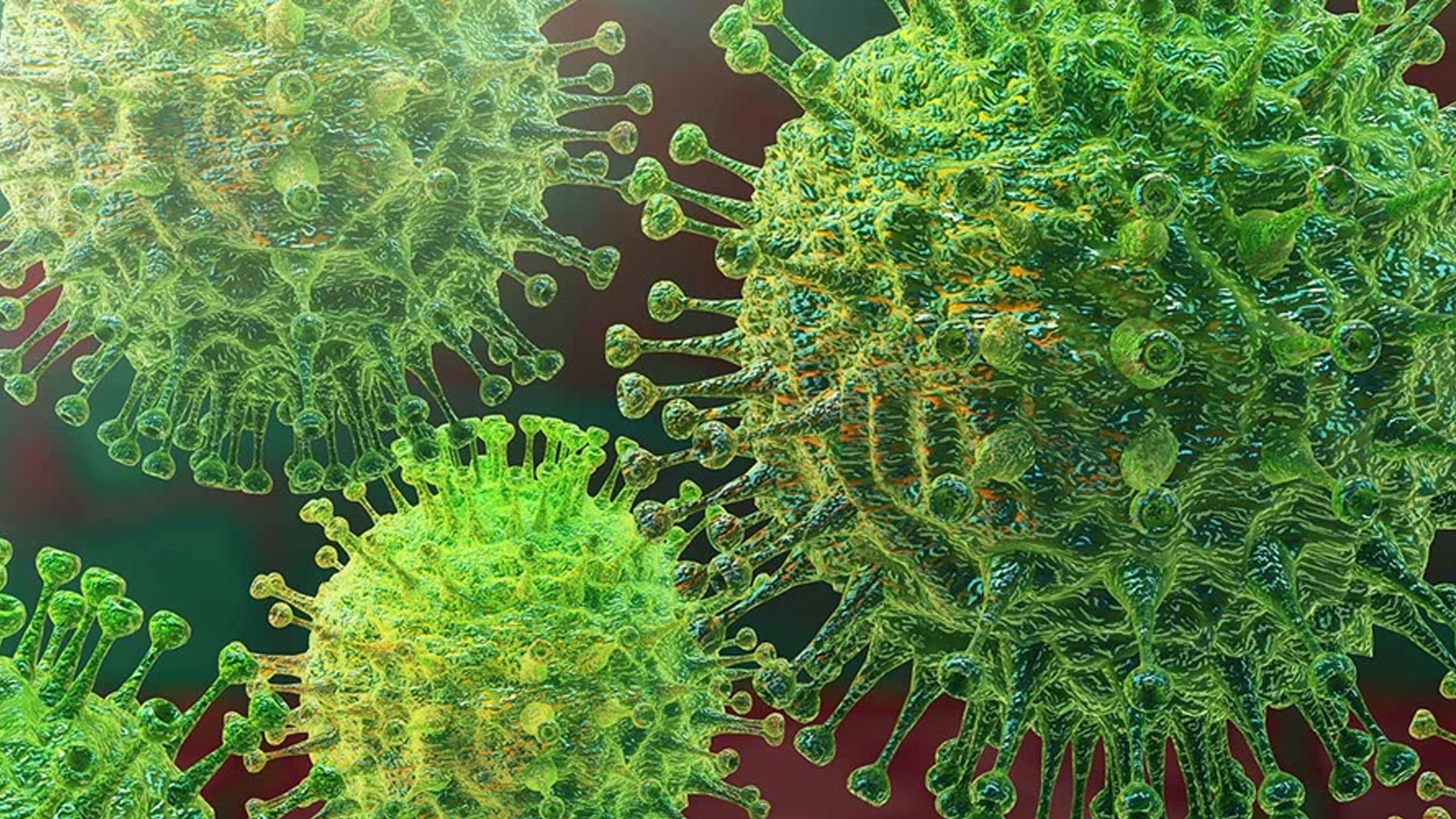 Coronavirus close up